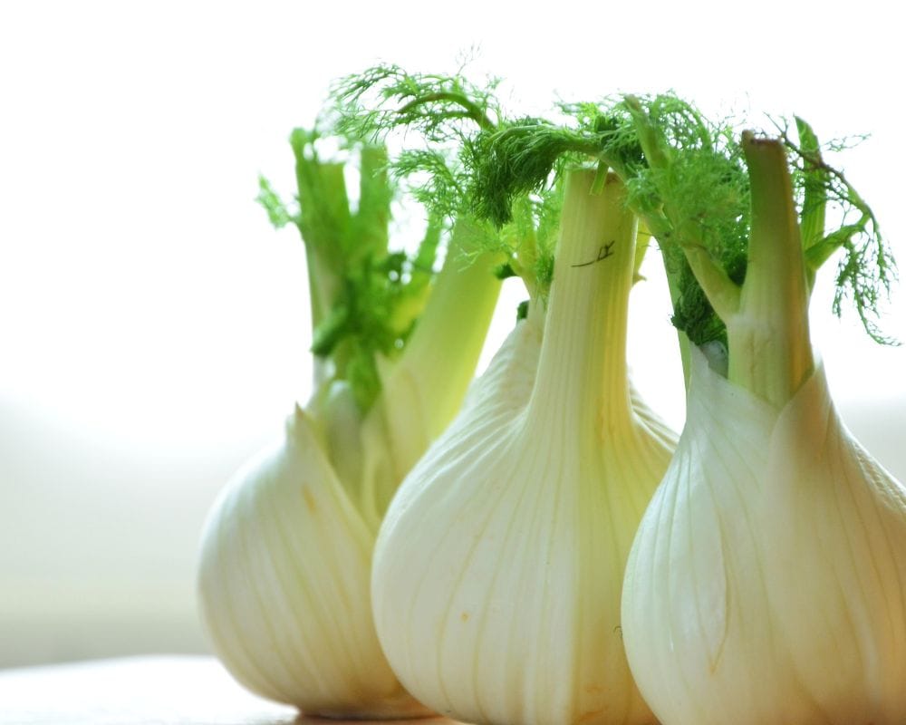 Fennel Benefits